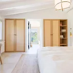 La Telaranya